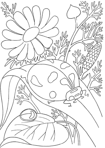 Ladybird Among Flowers Coloring Page